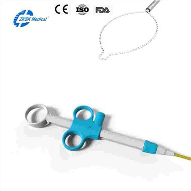 Disposable Polypectomy Snare Oval